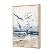 Seagulls 1