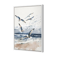 Seagulls 1