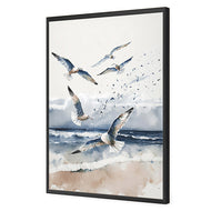 Seagulls 1