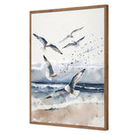 Seagulls 1