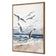 Seagulls 1