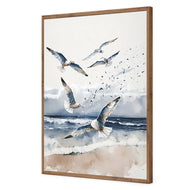 Seagulls 1
