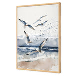 Seagulls 1