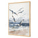 Seagulls 1
