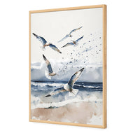 Seagulls 1