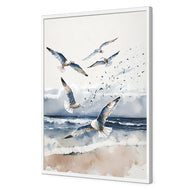 Seagulls 1