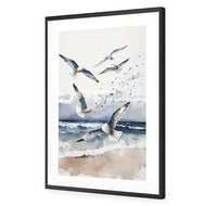 Seagulls 1