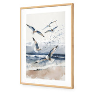 Seagulls 1