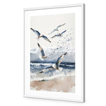 Seagulls 1