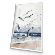 Seagulls 1