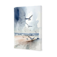 Seagulls 2