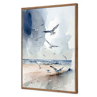 Seagulls 2