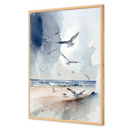 Seagulls 2