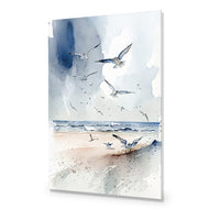 Seagulls 2