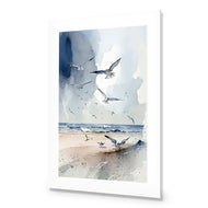 Seagulls 2