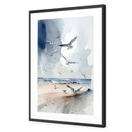Seagulls 2