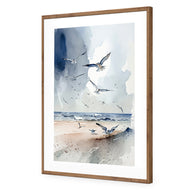 Seagulls 2
