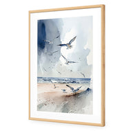 Seagulls 2
