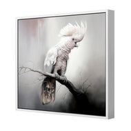 Lonely Cockatoo