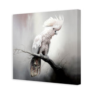 Lonely Cockatoo