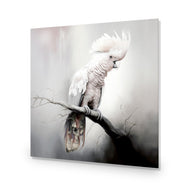 Lonely Cockatoo