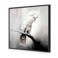 Lonely Cockatoo