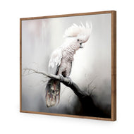 Lonely Cockatoo