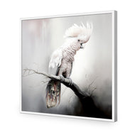 Lonely Cockatoo