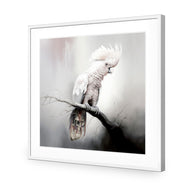 Lonely Cockatoo