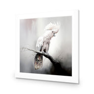 Lonely Cockatoo