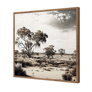 Australian Sight 1