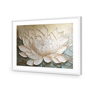 Lotus Beauty
