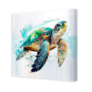 Sea Turtle Spotlight