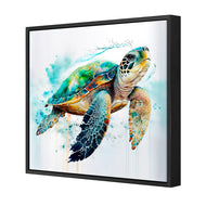 Sea Turtle Spotlight