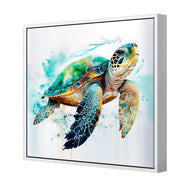 Sea Turtle Spotlight