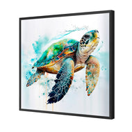 Sea Turtle Spotlight