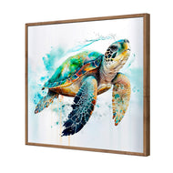 Sea Turtle Spotlight