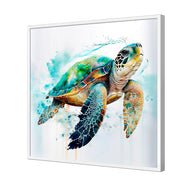Sea Turtle Spotlight