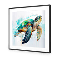 Sea Turtle Spotlight