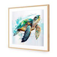 Sea Turtle Spotlight