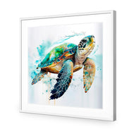 Sea Turtle Spotlight