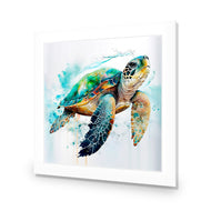 Sea Turtle Spotlight