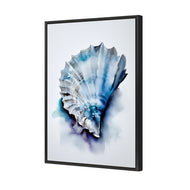 Watercolour Shell I