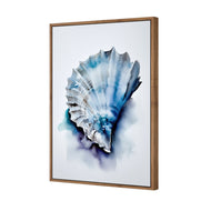Watercolour Shell I