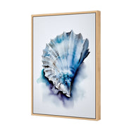 Watercolour Shell I