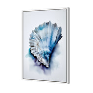 Watercolour Shell I