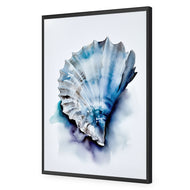 Watercolour Shell I