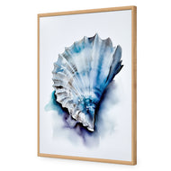 Watercolour Shell I