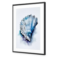 Watercolour Shell I