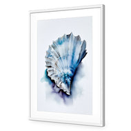 Watercolour Shell I